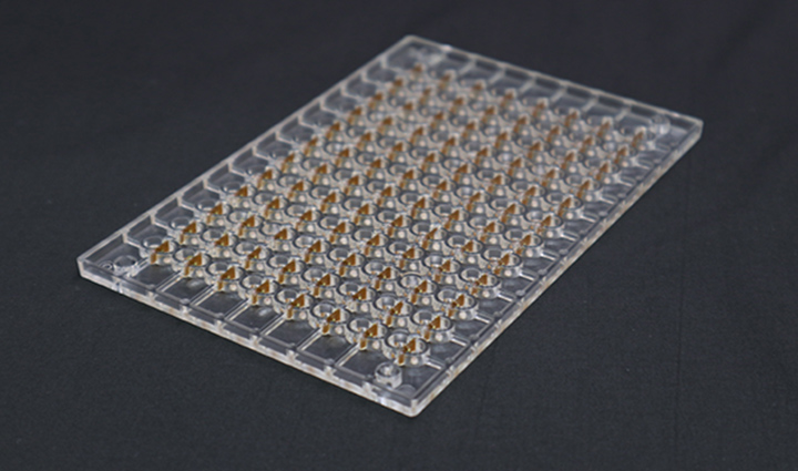 Joint Project on Drug Discovery for Ion Channels